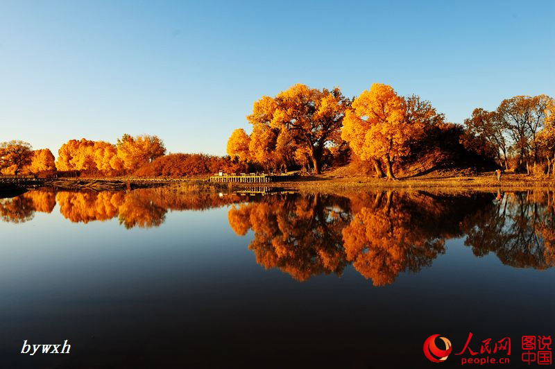 Splendid scenery of Heihe Wetland