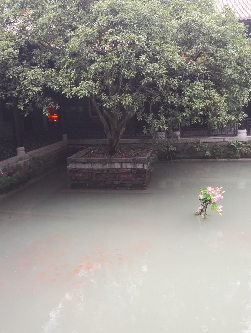 A glimpse into Chinese culture during a tour in Ji'an