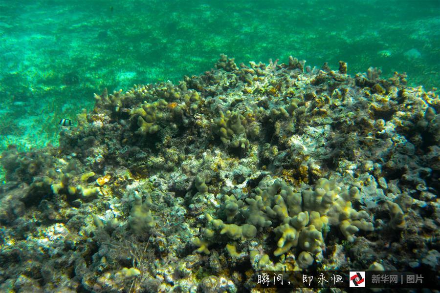 Amazing and mysterious underwater scenery of Sansha