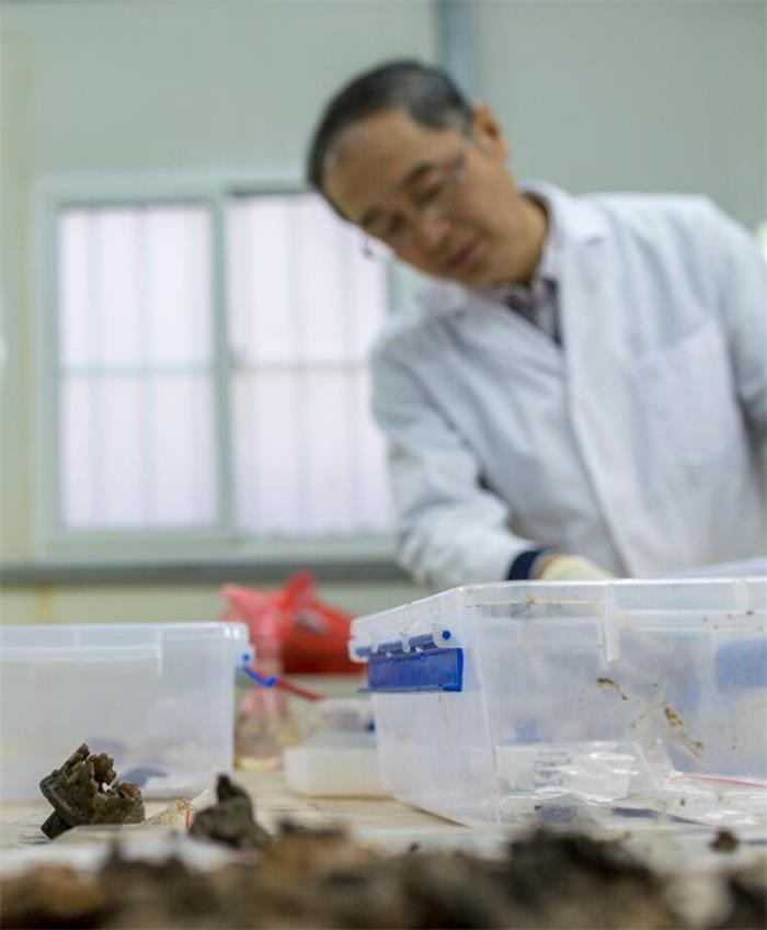 Amber unearthed suggests tomb possibly being that of Emperor Wu's grandson: archeologist