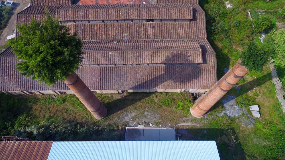 Hat-shaped banyan trees on top of chimneys in Fujian