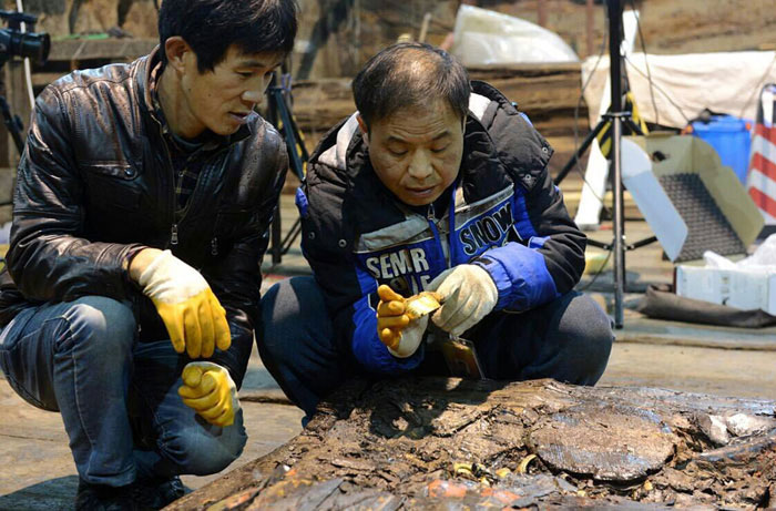 Hoof-shaped gold found in coffin in the main tomb of Marquis of Haihun