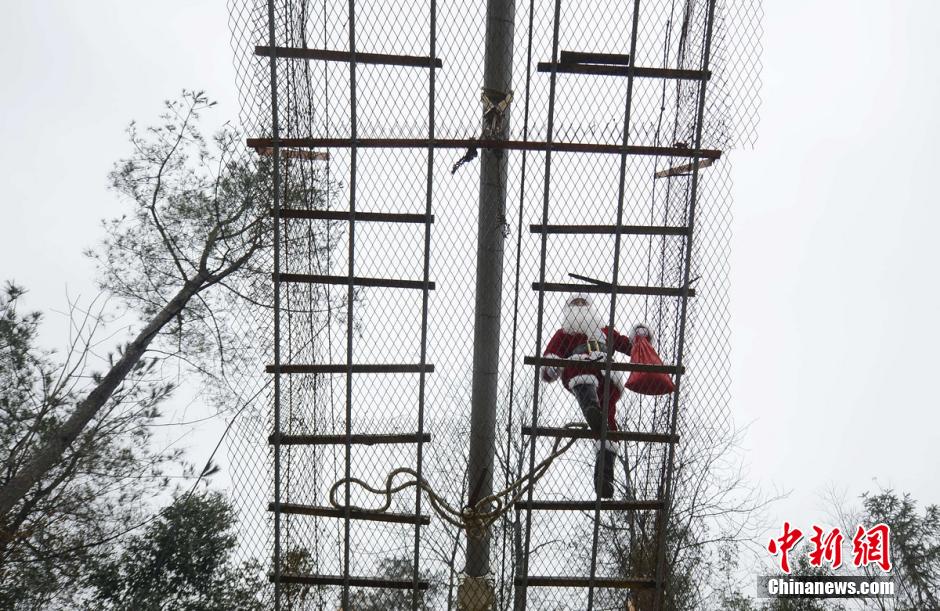 Boss dressed as Santa Claus sends gifts to workers 
