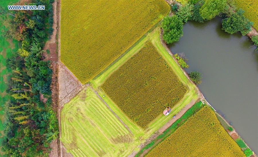 Amazing aerial views around China in 2015