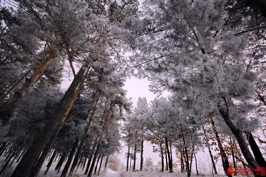 Magnificent winter view of Weihu Mountain