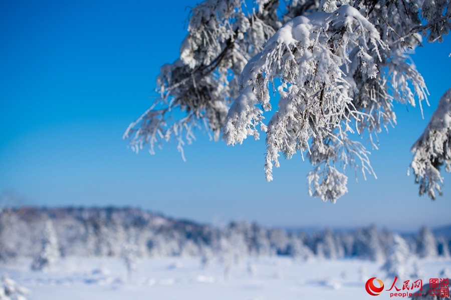 China's first alpine snow entertainment park opens 