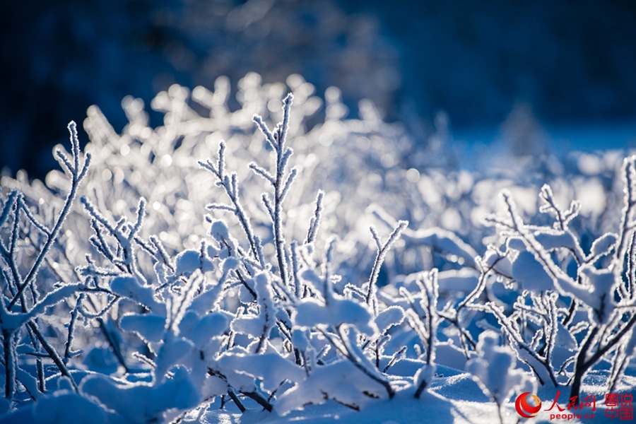 China's first alpine snow entertainment park opens 