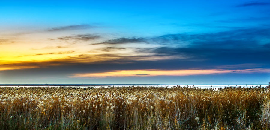 Intoxicating Juyan Lake in the first rays of the morning sun
