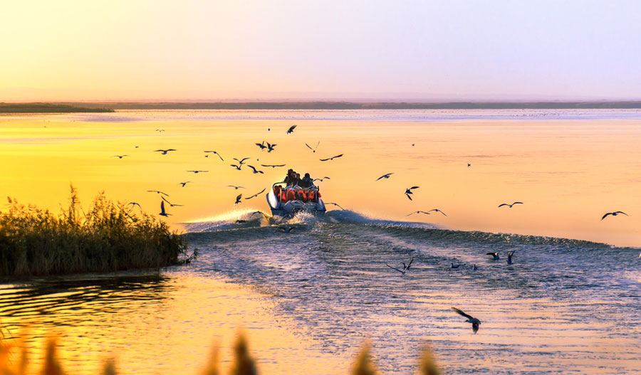 Intoxicating Juyan Lake in the first rays of the morning sun
