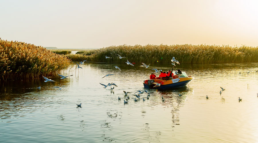 Intoxicating Juyan Lake in the first rays of the morning sun
