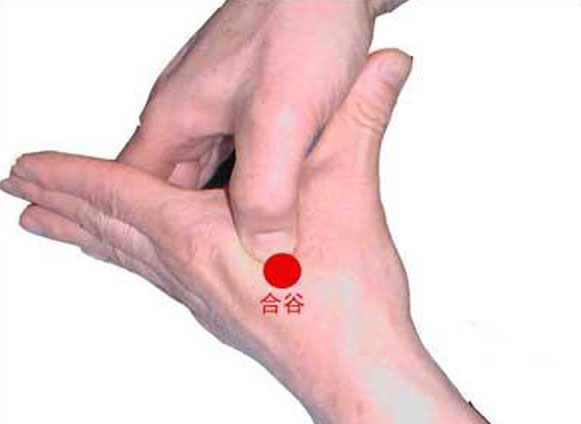 Expert reveals four longevity acupuncture points
