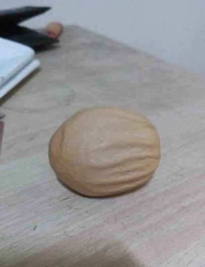 Walnut-like egg found in Xi'an
