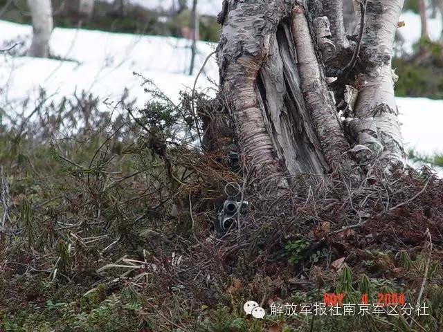 Can you find out the sniper hiding in camouflage?