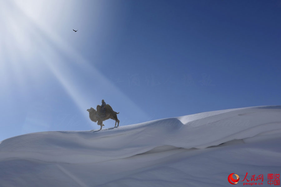 Stunning prairie in winter