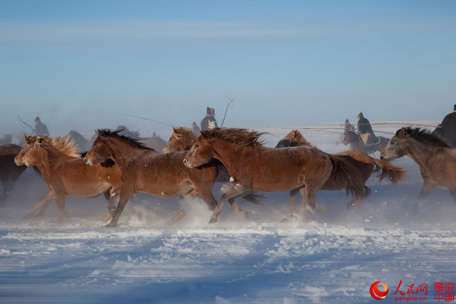 Stunning prairie in winter