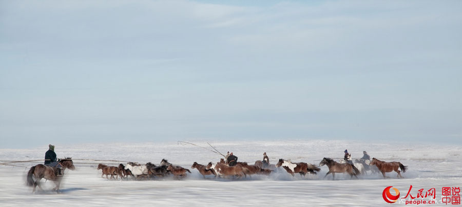 Stunning prairie in winter