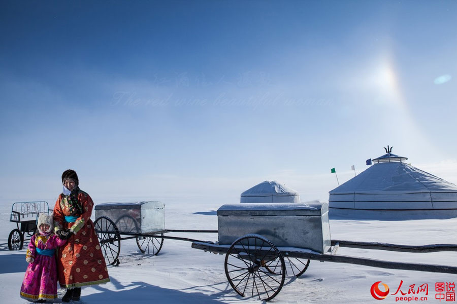 Stunning prairie in winter