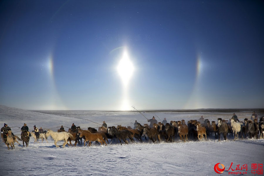 Stunning prairie in winter