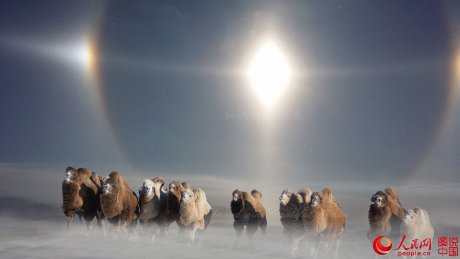 Stunning prairie in winter