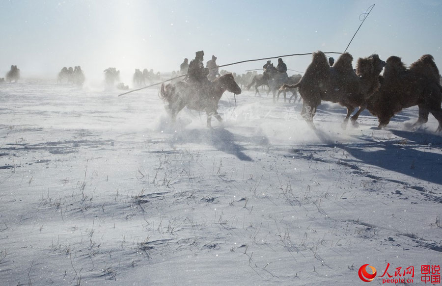 Stunning prairie in winter