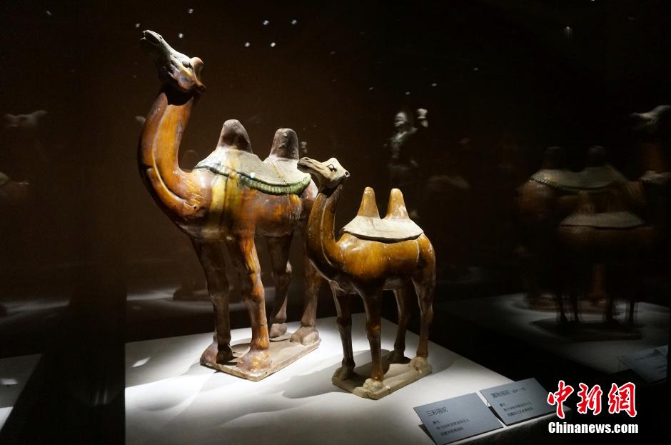 Cultural relics of Tang Dynasty separated by Taiwan Strait reunite in Henan 