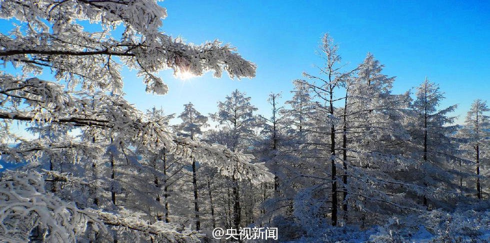 Fantastic scenery of Daxinganling at minus 40 degrees