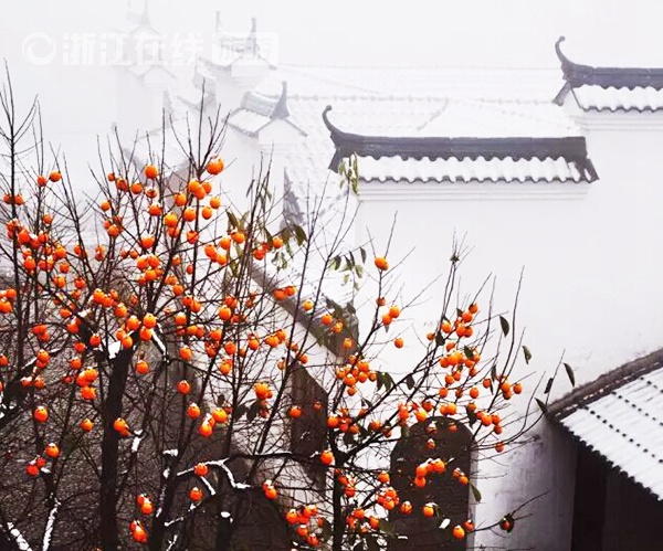 A beautiful Zhejiang in snow