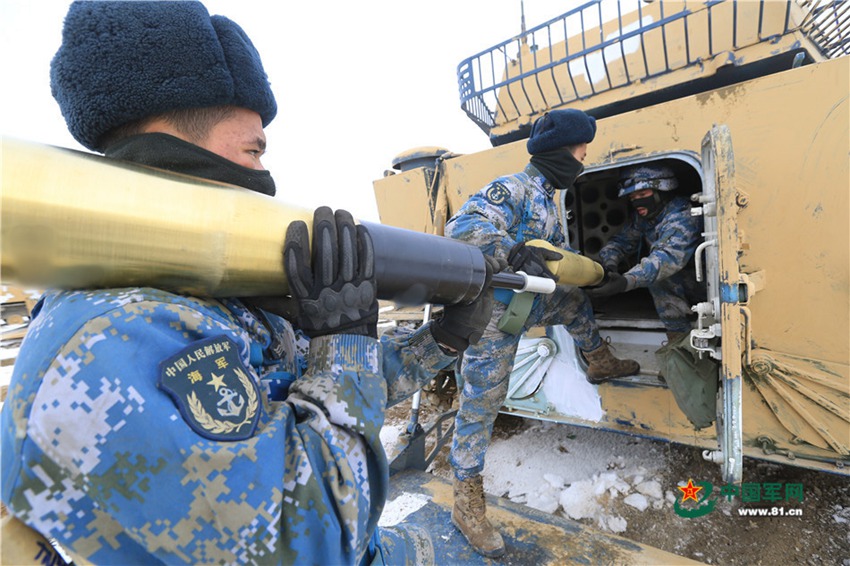 China's Marine Corps conducts collaborative drill in NW China