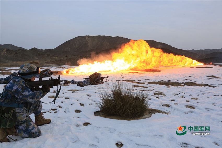 China's Marine Corps conducts collaborative drill in NW China