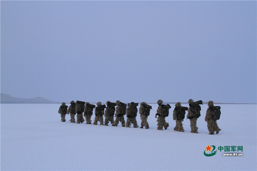 China's Marine Corps conducts collaborative drill in NW China