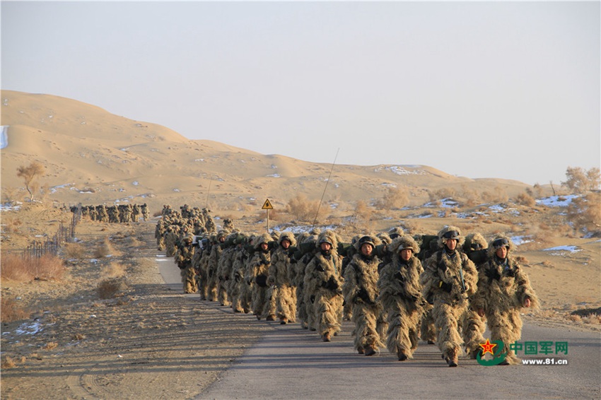 China's Marine Corps conducts collaborative drill in NW China