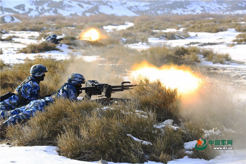 China's Marine Corps conducts collaborative drill in NW China