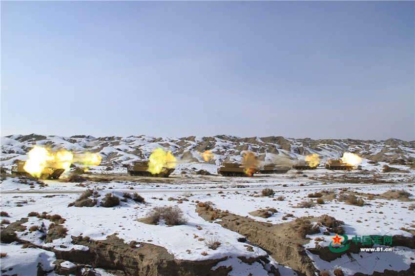 China's Marine Corps conducts collaborative drill in NW China