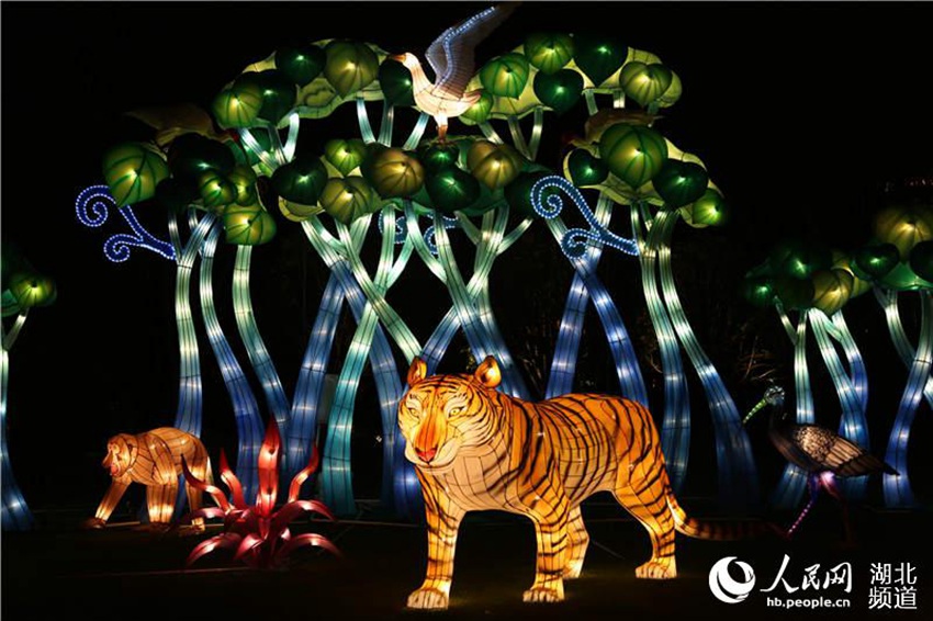 Wuhan lantern feast illuminates Garden Expo