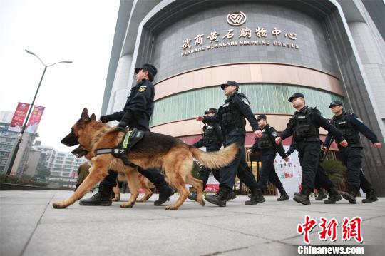 German Shepherds debut as festival security forces