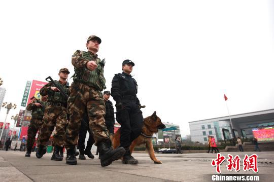 German Shepherds debut as festival security forces