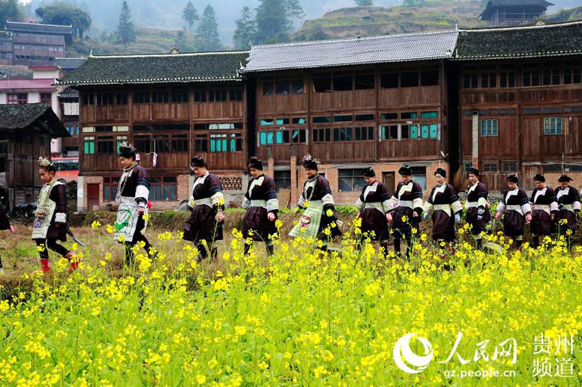 Spring flowers bloom in Guizhou