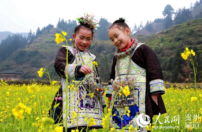 Spring flowers bloom in Guizhou