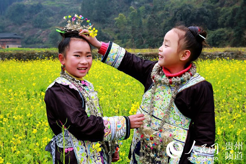 Spring flowers bloom in Guizhou