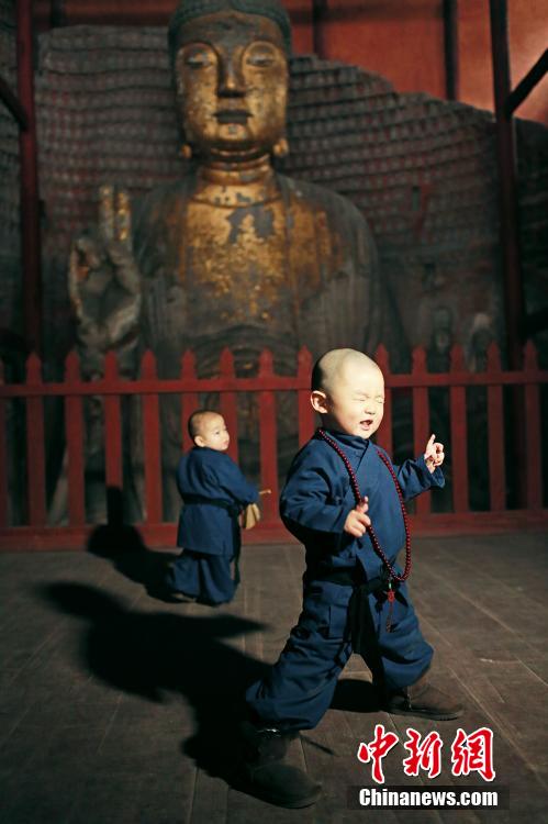 Adorable 'little monks' in Chongqing go viral online