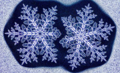 Physicist grows twin snowflakes in lab