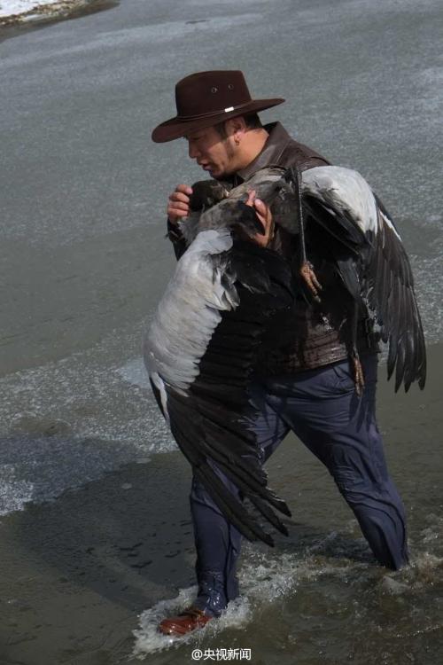 Two men save crane from ice cave and warm it with body