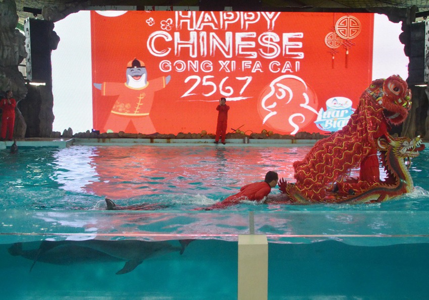 Dragon and lion dance performed underwater in Indonesia