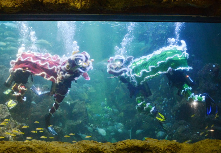 Dragon and lion dance performed underwater in Indonesia