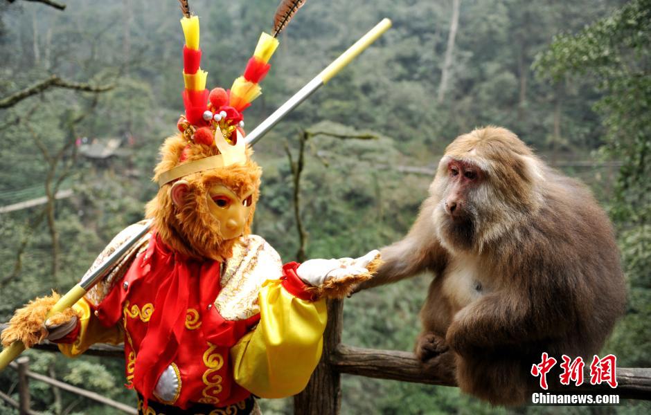 Cute monkeys send New Year wishes to tourists in Mount Emei 
