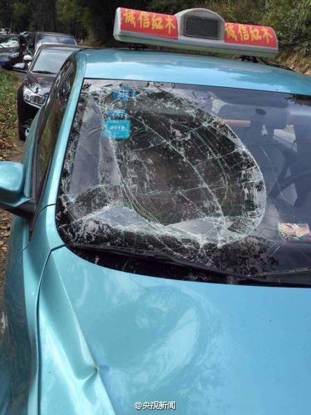 Wild elephant wanders onto Chinese tourist road, damages dozen cars