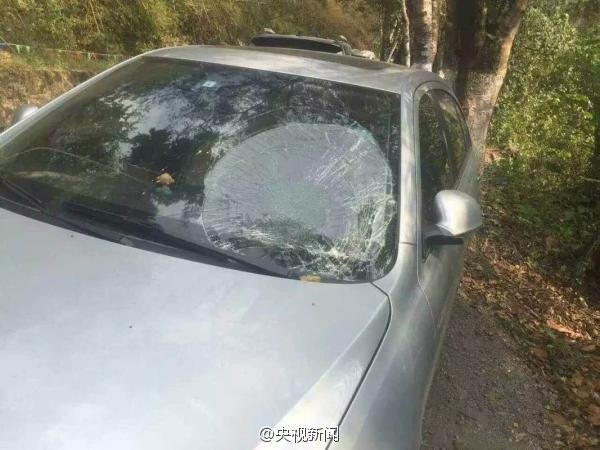 Wild elephant wanders onto Chinese tourist road, damages dozen cars