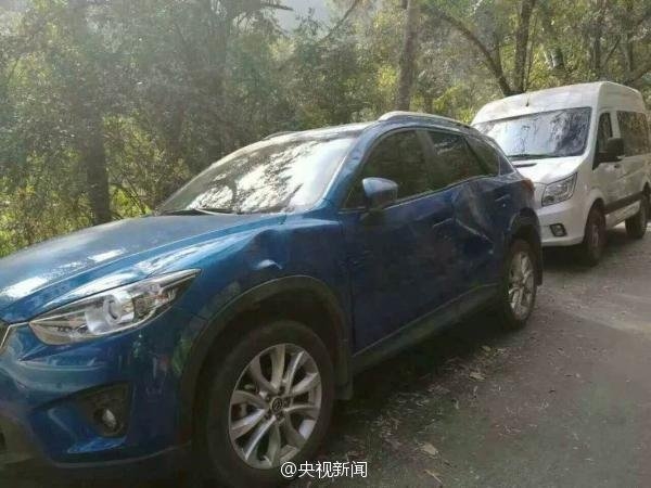 Wild elephant wanders onto Chinese tourist road, damages dozen cars