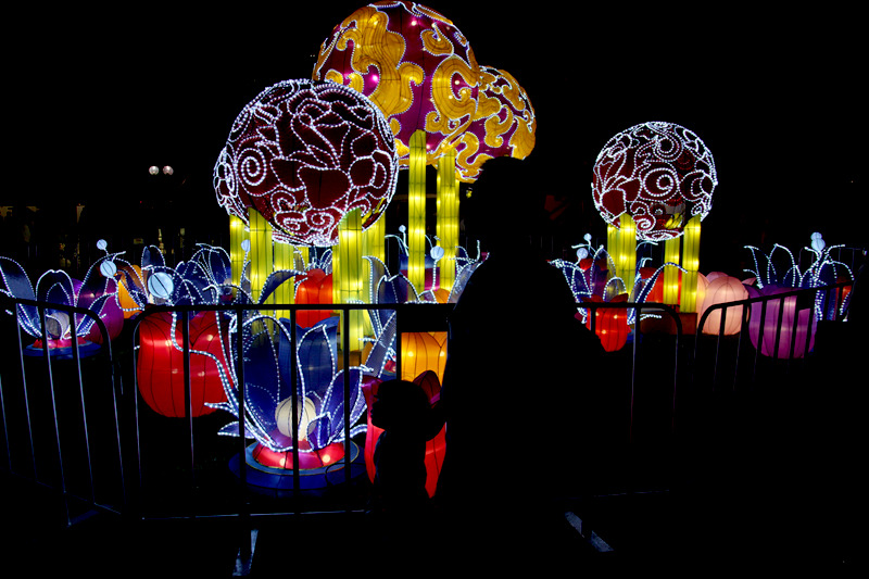 Chinese Lantern Shinning at Darling Harbor Sydney