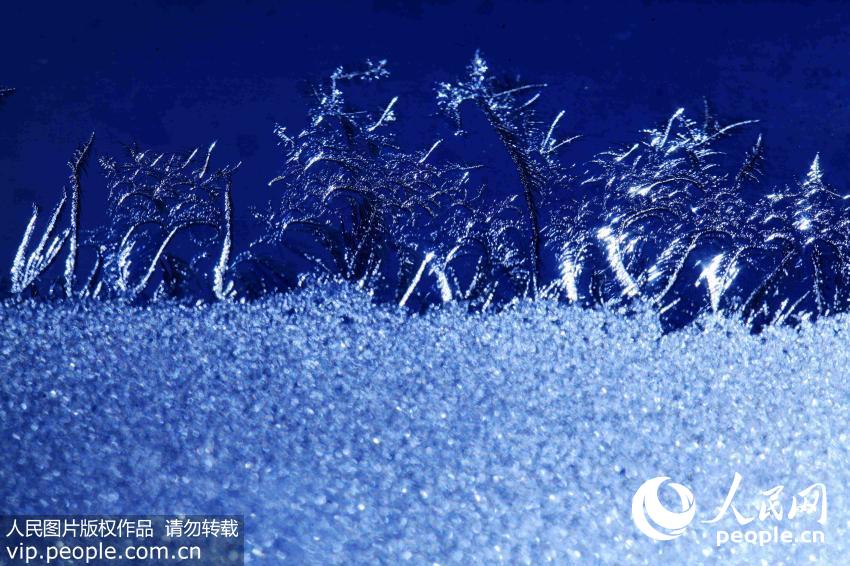 Fantastic window frost in NE China